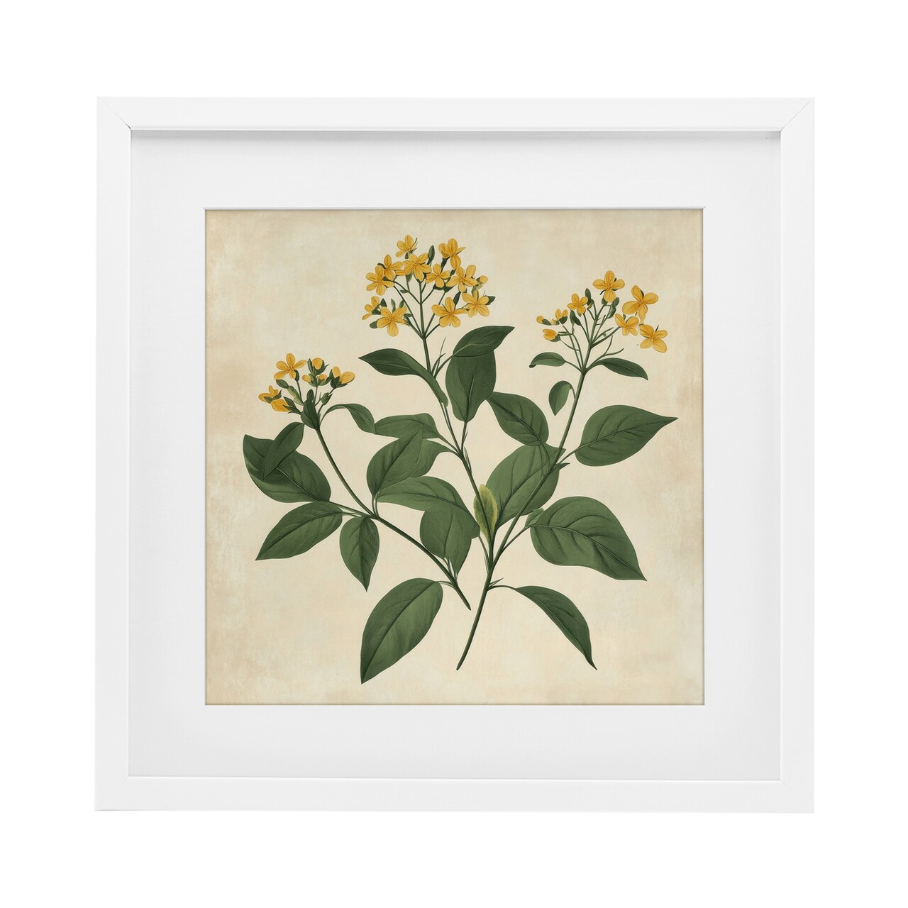 Stupell Industries Yellow Bushels Botanical Illustration Framed Print Under Glass, design by Petal Prints Design
